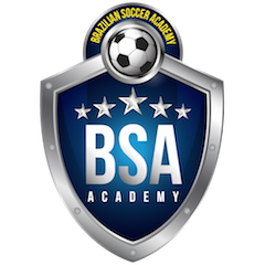 bsa logo